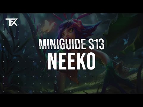 Neeko Miniguide S13 | Team Freekills