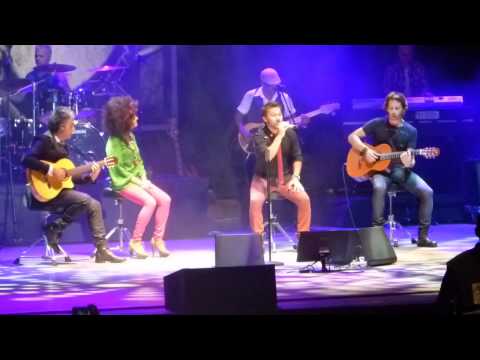 No se para que volviste.MTS