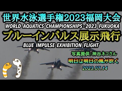 2023年 世界水泳選手権2023福岡大会 YouTubeライブ配信アーカイブのサムネイル