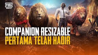 PUBG MOBILE | Companion Resizable Pertama, Lion Buddy, Hadir di PUBG MOBILE!