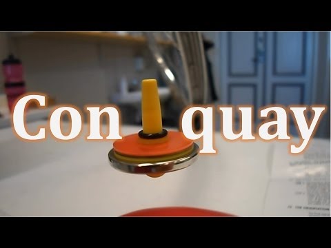 Con quay hồi chuyển