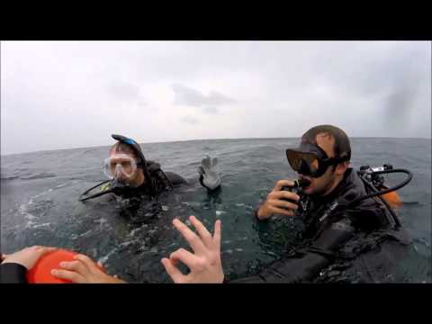 Open Water Training Dive 1