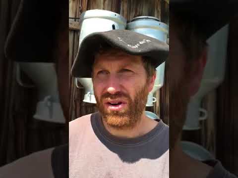 LA PLACE DU VILLAGE:« LE LOUP NOUS FAIT SOUFFRIR ! »