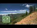 Paragliding in Oregon | Oregon Field Guide