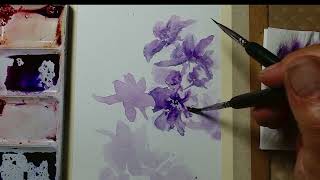 Paint easy watercolor Larkspur flowers | Hedwig's Art