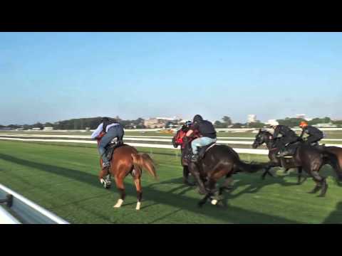 GaiTV - Aberdeen - Jumpout 20/11/15