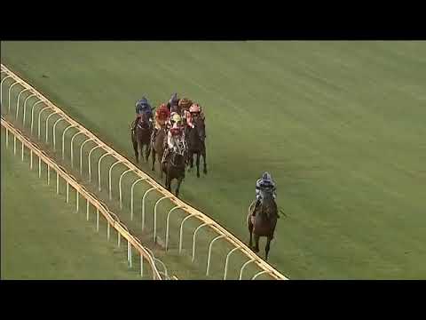 2019.03.30 Caradoc Gold Cup (RSA) - Sunshine Silk