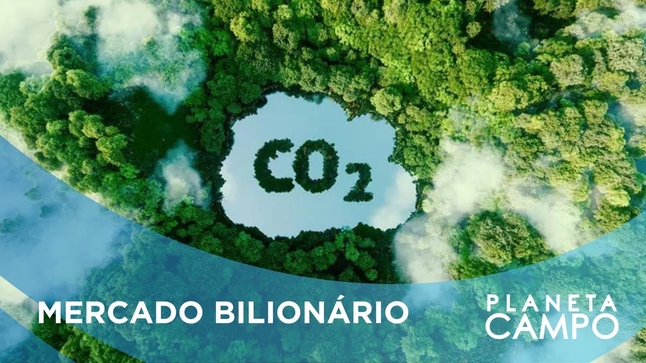 Pará vende 1 bilhão de reais em créditos de carbono