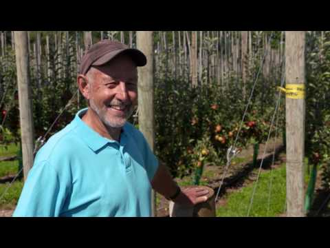 Future Orchard Systems