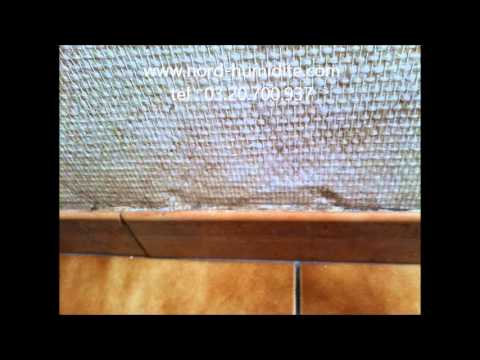 comment reparer un mur interieur humide