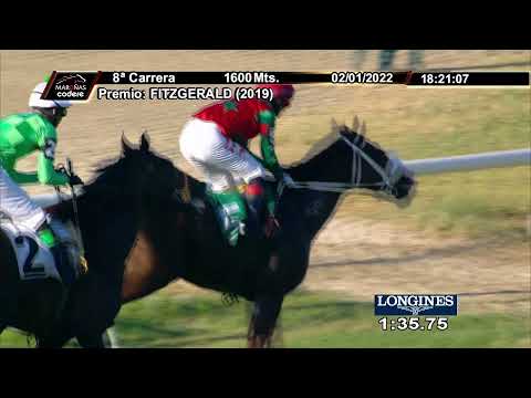 220102 c08 GITANO CAPRICHOSO