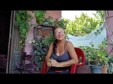 Comunidade Macurá, município de Curuá 