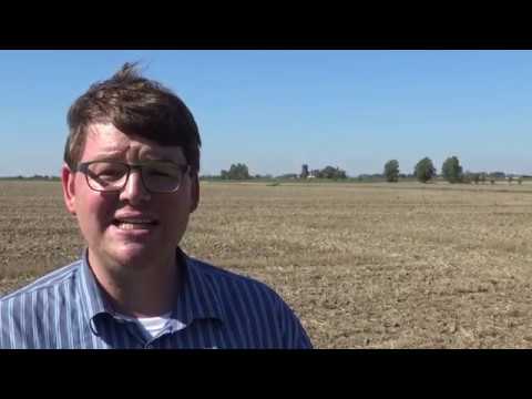 Regionalwetter: Wetterbericht für Mittwoch 19.09.2018