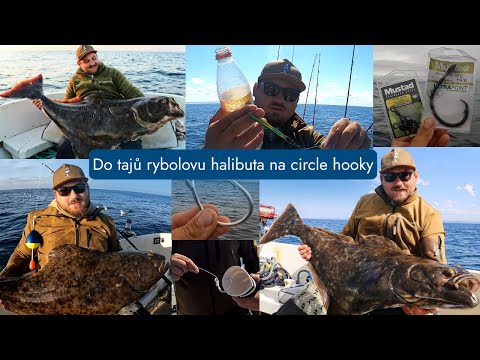 Do tajů rybolovu halibuta na circle hooky