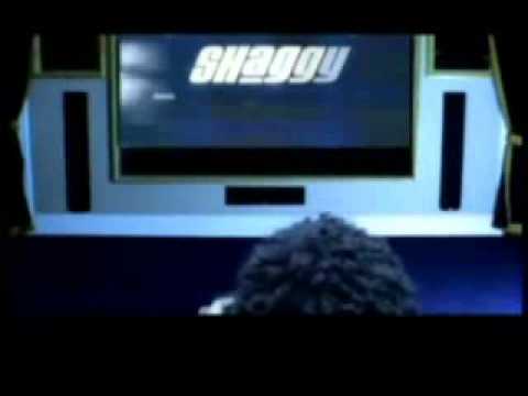 shaggy - get my party on-1