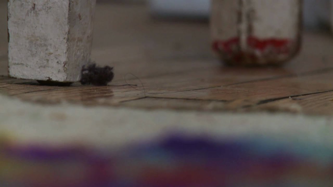 Watch video MARCEL THE SHELL WITH SHOES ON Now MARCEL THE SHELL WITH SHOES ON