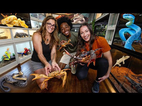 This Is Their Bedroom… The ULTIMATE Reptile Room Tour