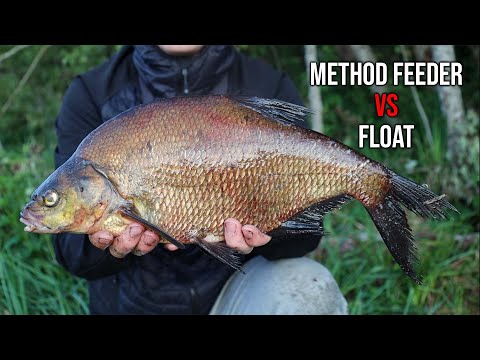 Epic Action on METHOD FEEDER- Tench, bream, BIG Rudd