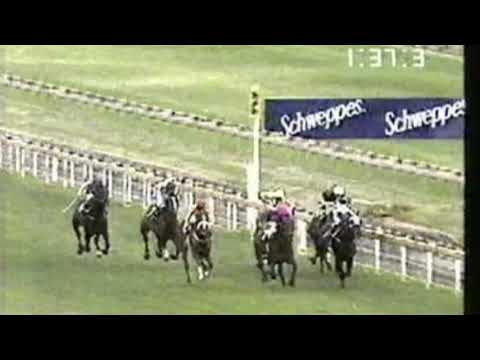 1991 St George Stakes - Sydeston