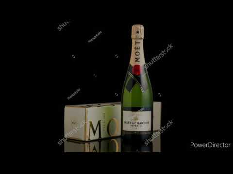 MALOTA - me loshaf anda jilo