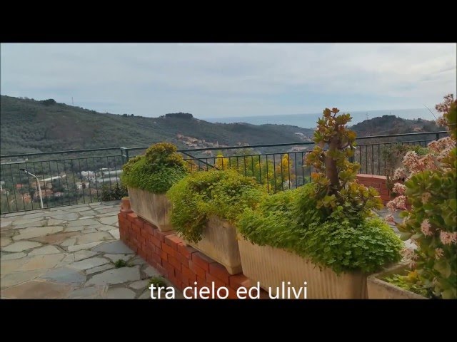 Fai il tour virtuale