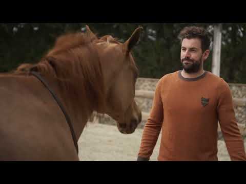 Trailer en español de Hermano caballo