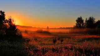 John Lee Hooker - Early one morning