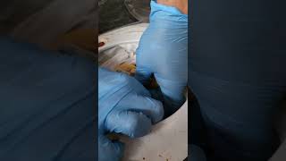 How to Replace Fuel Pump on 2015 Ram Promaster City