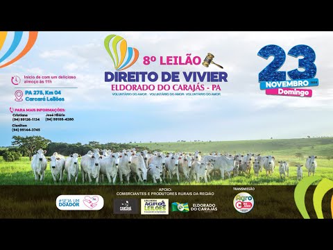 8º LEILÃO DIREITO DE VIVER - ELDORADO DOS CARAJAS / PARÁ