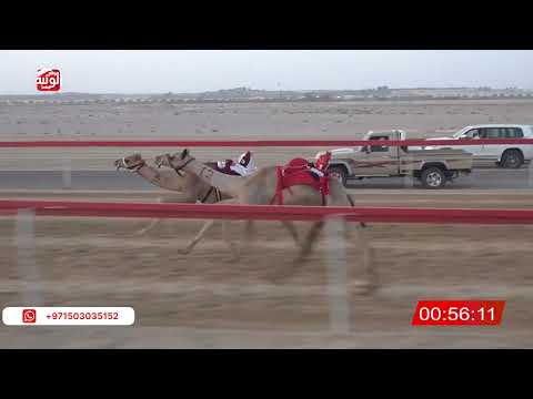  ش 1 (الظبيه) لـ سلطان بن ضاحي المزروعي 2:10 ، شارة صندوق حلفه 2026/05/03 فطامين سويحان