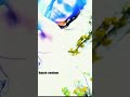 I Manoharudu Telugu Song Whatsapp Status