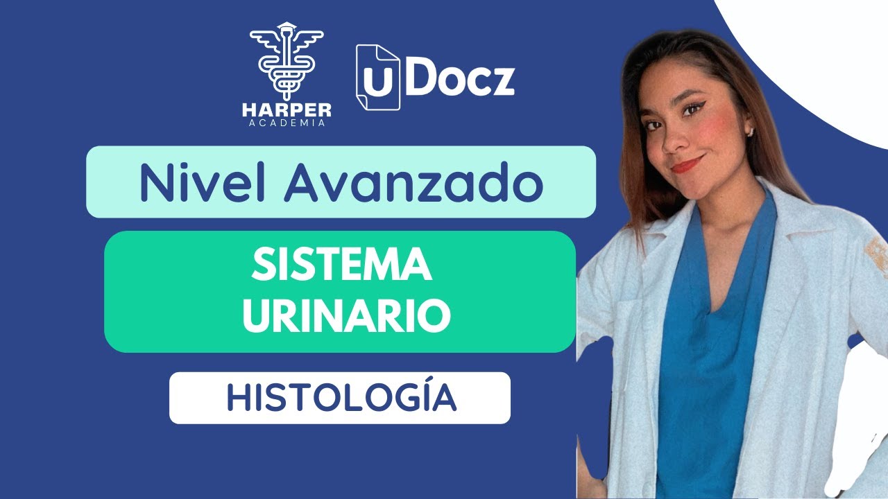 Sistema Urinario con Harper Academia & uDocz 📚