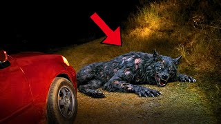 O DIA QUE EU ATROPELEI O LOBISOMEM... O IMPOSSIVEL ACONTECEU...
