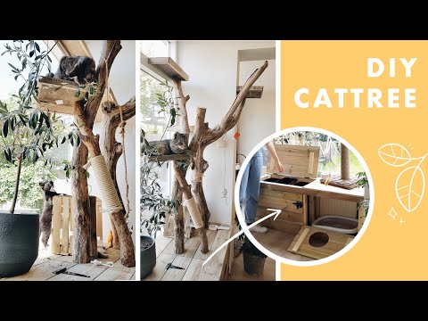 I built a CAT TREE with a built-in litterbox using branches