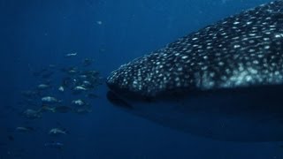 Perth to Exmouth, Coral Coast Western Australia Road Trip