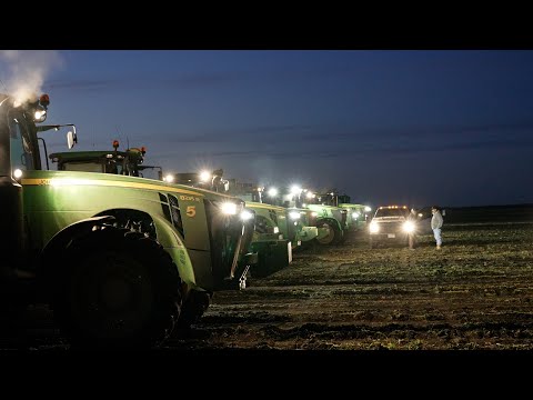 Sugarbeet Mafia - Trailer