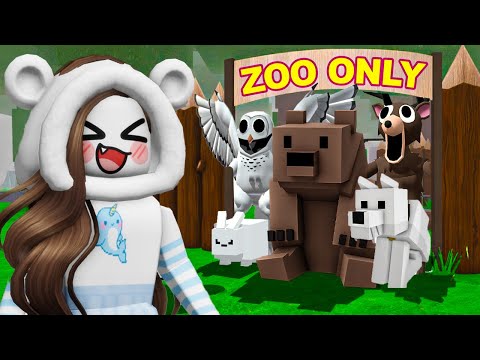 Ho costuito uno ZOO su 99 notti su roblox!