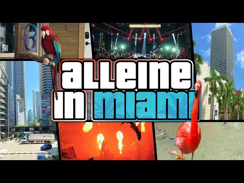 ALLEINE in MIAMI 🌴🇺🇸 ULTRA MUSIC FESTIVAL & MIAMI MUSIC WEEK