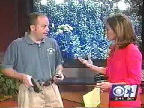 Taser Guns Channel 11 Dallas News - Interview with SpyCentre Security