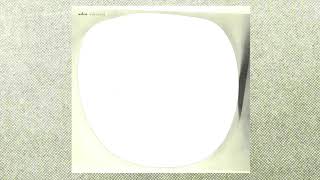 Bright Leaves Music Video