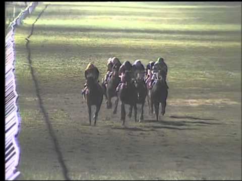 Galoppo 11/01/2015 - 6° corsa