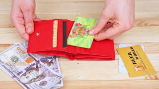 Компактний жіночий гаманець ST Leather 19259 червоний