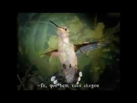Pedido - Flavio Machado
