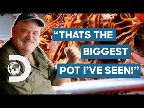 The Wizard Crew Lure In The BIGGEST Cage Of Crabs Ever! | Deadliest Catch