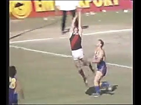 Round 23, 1991   West Coast vs Essendon