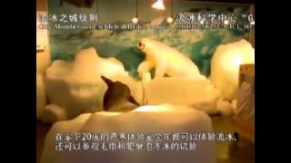preview picture of video 'Tours-TV.com: Okhotsk Sea Ice Museum'