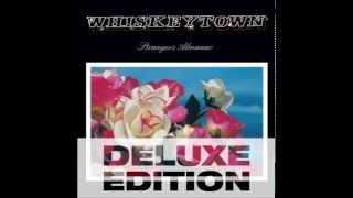 whiskeytown - excuse me while i break my own heart tonight
