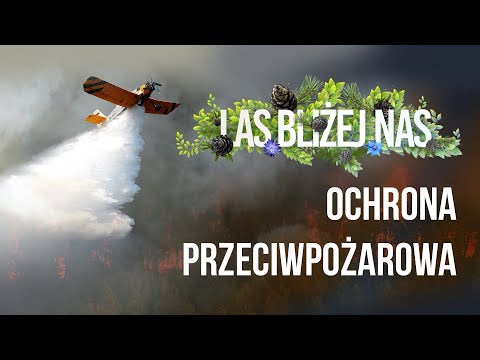 Las Bliżej Nas - Ochrona przeciwpożarowa w lasach