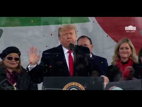 Donald John Trump (born June 14, 1946) is an American politician, media personality, and businessman