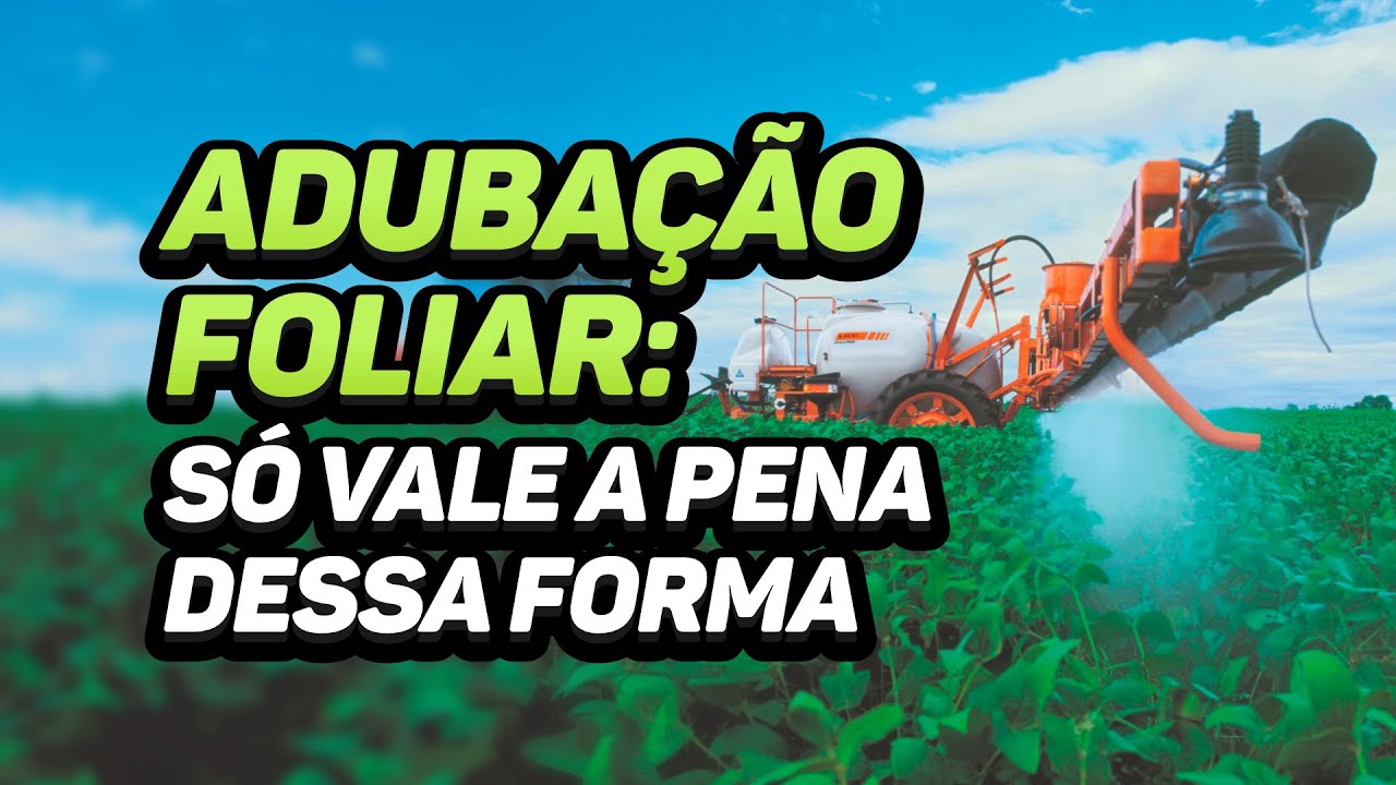 Adubação Foliar: Quando Vale a Pena Fazer?